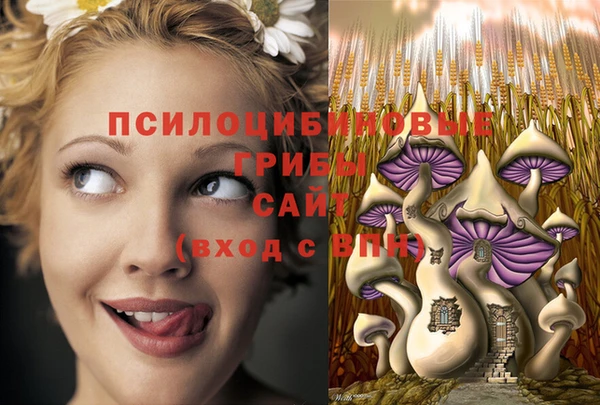2c-b Навашино