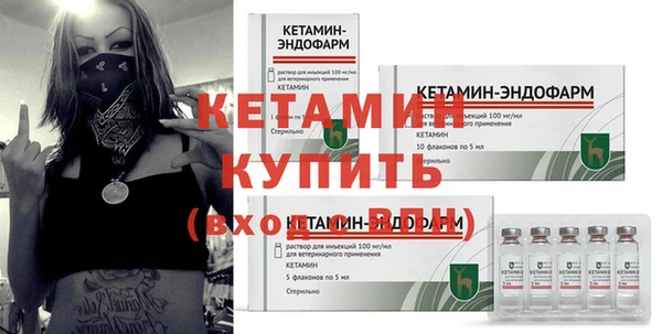 сатива Бородино