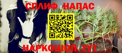 гашиш Гай