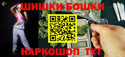 МДПВ Гатчина