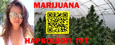 гашиш Гай