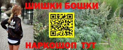 МДПВ Гатчина