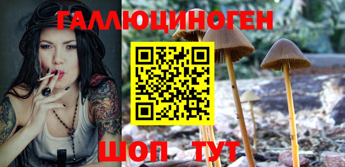Зерноград  Галлюциногенные грибы мицелий  Вход с VPN 