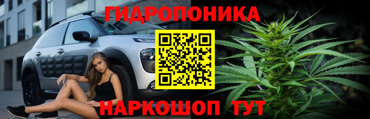 Бошки марихуана Amnesia  Шишки марихуана сатива  Зерноград 